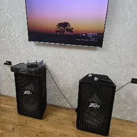 karaoke kolonka