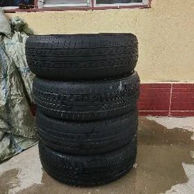 185.70.14 Pakrišga