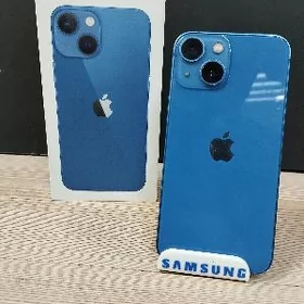 13mini