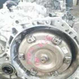Karolla waryator 2015