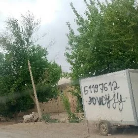 toy sowadyjy