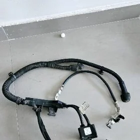 Tok Sim elantra 2019