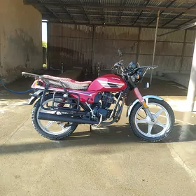 Fekon FK150-8G 2015