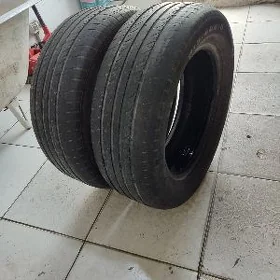 215 60 16 ayak (2 ştuk )