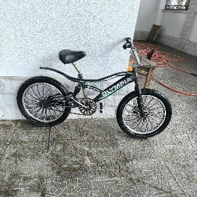 tigirler