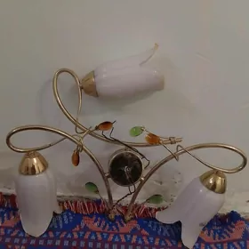 lýustra transformer