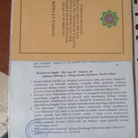 satlyk