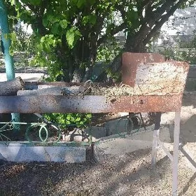 mangal uly
