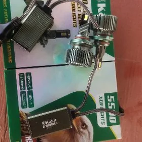 led kaier