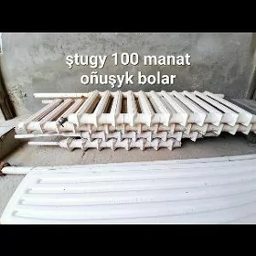 Ataplenýa