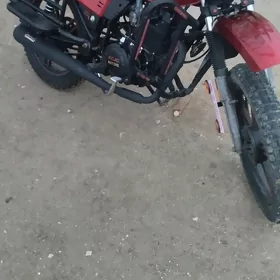Fekon FK200-14G 2026