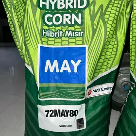 MAY mekge tohum