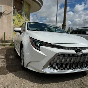 Toyota Corolla 2020