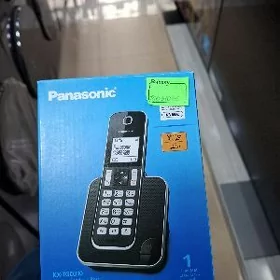 Panasonic