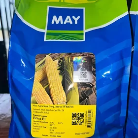 MAY süýji mekge tohum