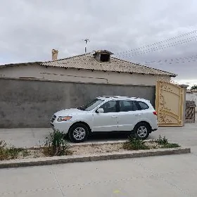 Hyundai Santa Fe 2010