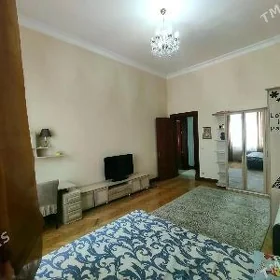 Аренда Шаелы элитка 