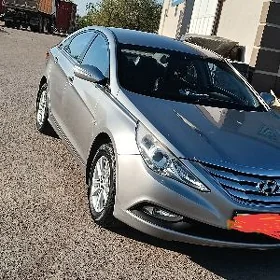 Hyundai Sonata 2010