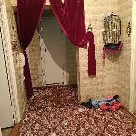 Гаудан В от хозяина