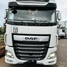 DAF 480 2019