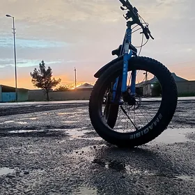 BMW WELISOPED