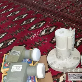 GALOKO ULY KIÇI