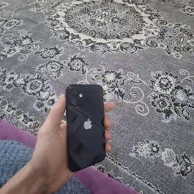 12mini