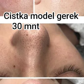 Model gerek