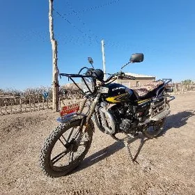Fekon FK150-8G 2025
