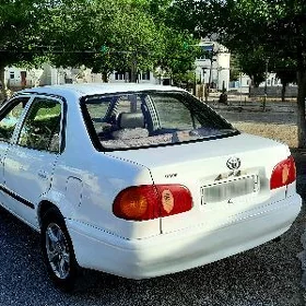 Toyota Corolla 2000