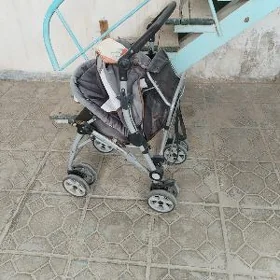 Caga kalyaska