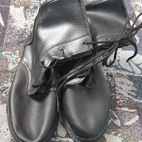 Sapok