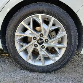 hyundai elantra disga