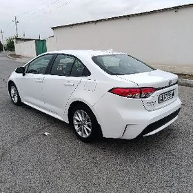 Toyota Corolla 2022