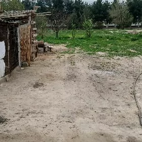 8-сотак,Гыпжак.