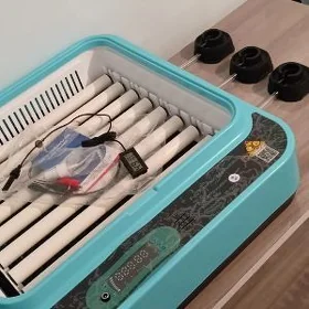 Inkubator