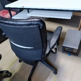 Kompýuter stol kreslasy