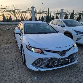 Toyota Camry 2020