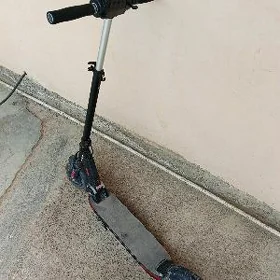 skutur