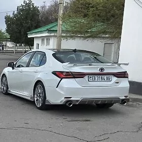 изки чыра   задние стопники