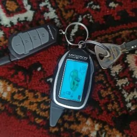 magicar pult