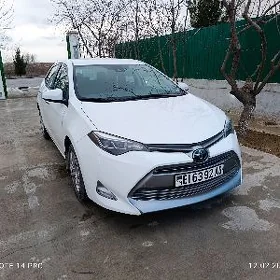 Toyota Corolla 2019