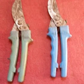 секатор