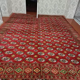 daroçga