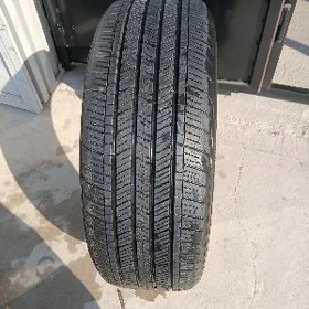 Teker 235 50 21 RX 350