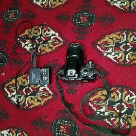 Nikon D40