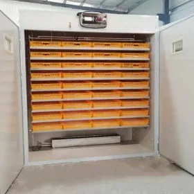 inkubator