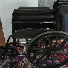 inwalid kalyaska