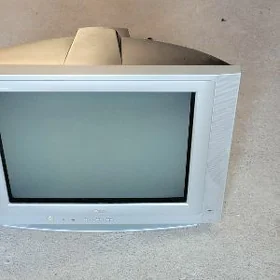 Telewizor