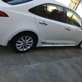 Toyota Corolla 2020